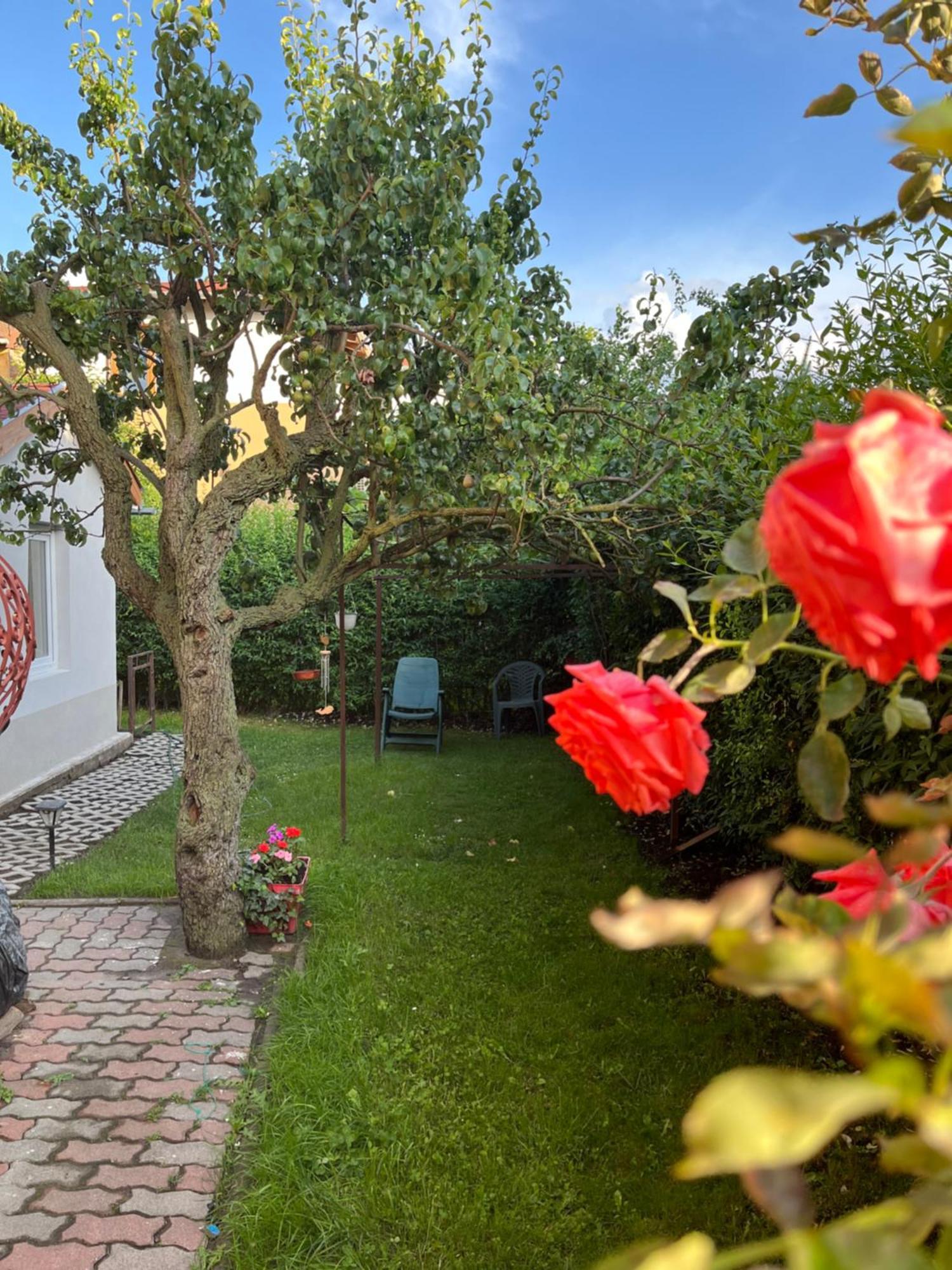 Apartman With Rose Garden & Free Parking *