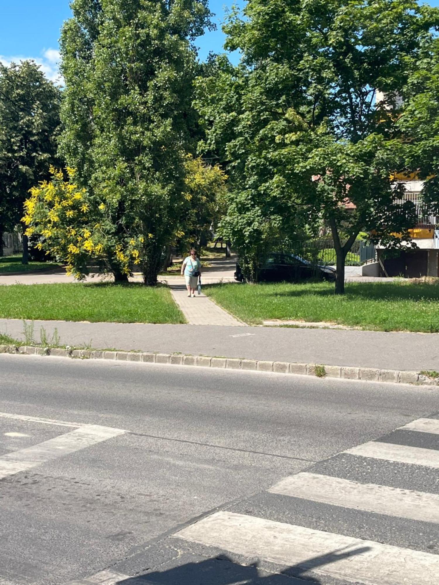 Apartment With Rose Garden & Free Parking Budapest